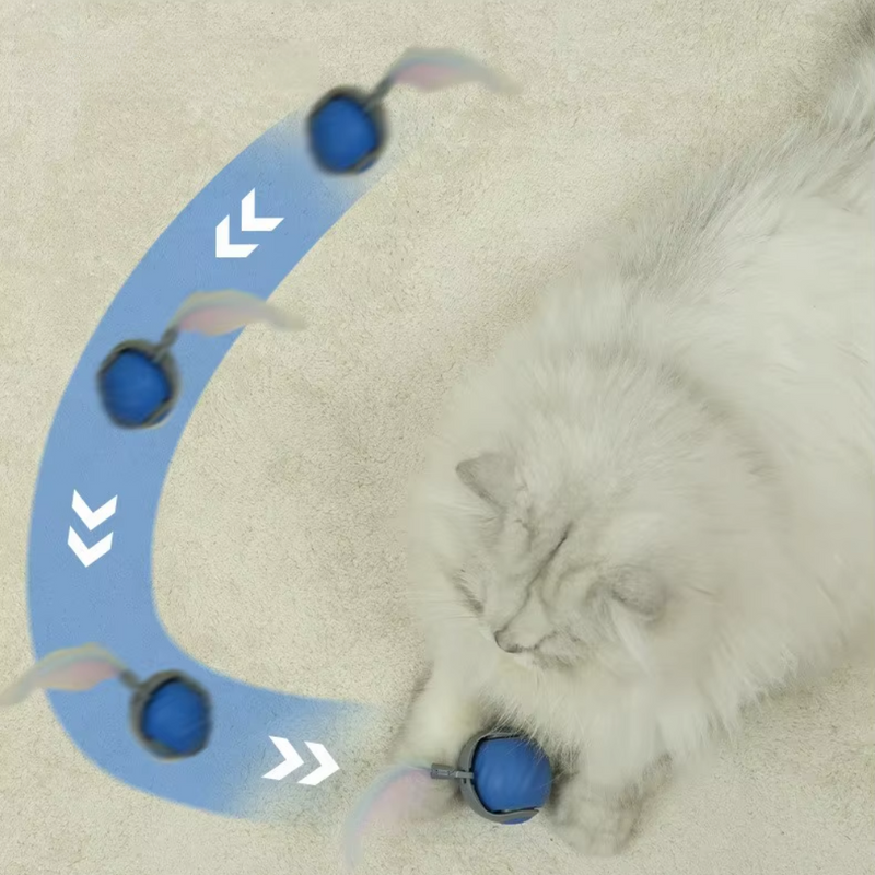 Brinquedo Cat Tazzy 2.0